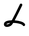 pme-lider-logo_negativo