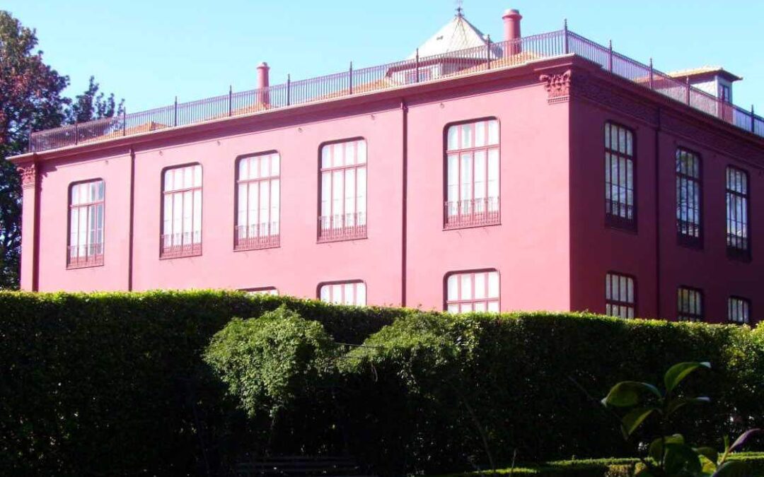 Obras no Jardim Botânico, no Porto, com intervenções da Prospectiva