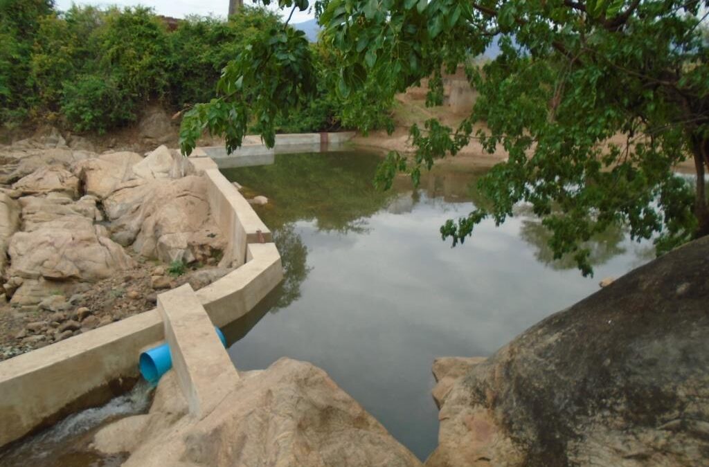 Prospectiva contribui para irrigação em pequena escala no Malawi