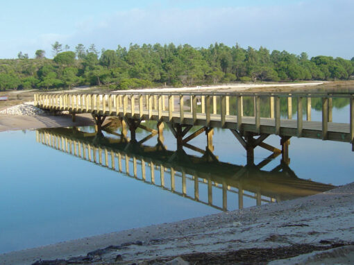 Recuperação Ambiental das margens da Lagoa de Óbidos