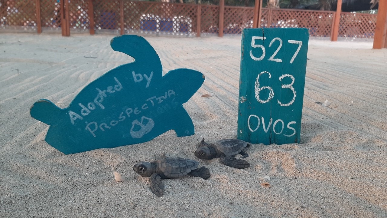 PROSPECTIVA presente em Cabo Verde com novos projetos